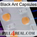 Black Ant Capsules 24